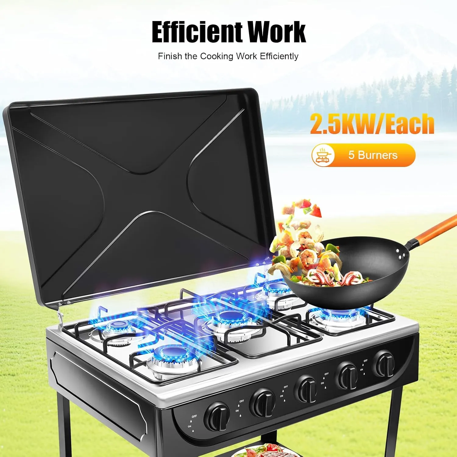 5 Burner Gas Stove Portable Outdoor with Removable Storage Stand, Freestanding Auto Ignition Camping Stove with Wind Blocking & Support Leg, Kitchen Cooking Stove Set for Picnic Home RV (Black)