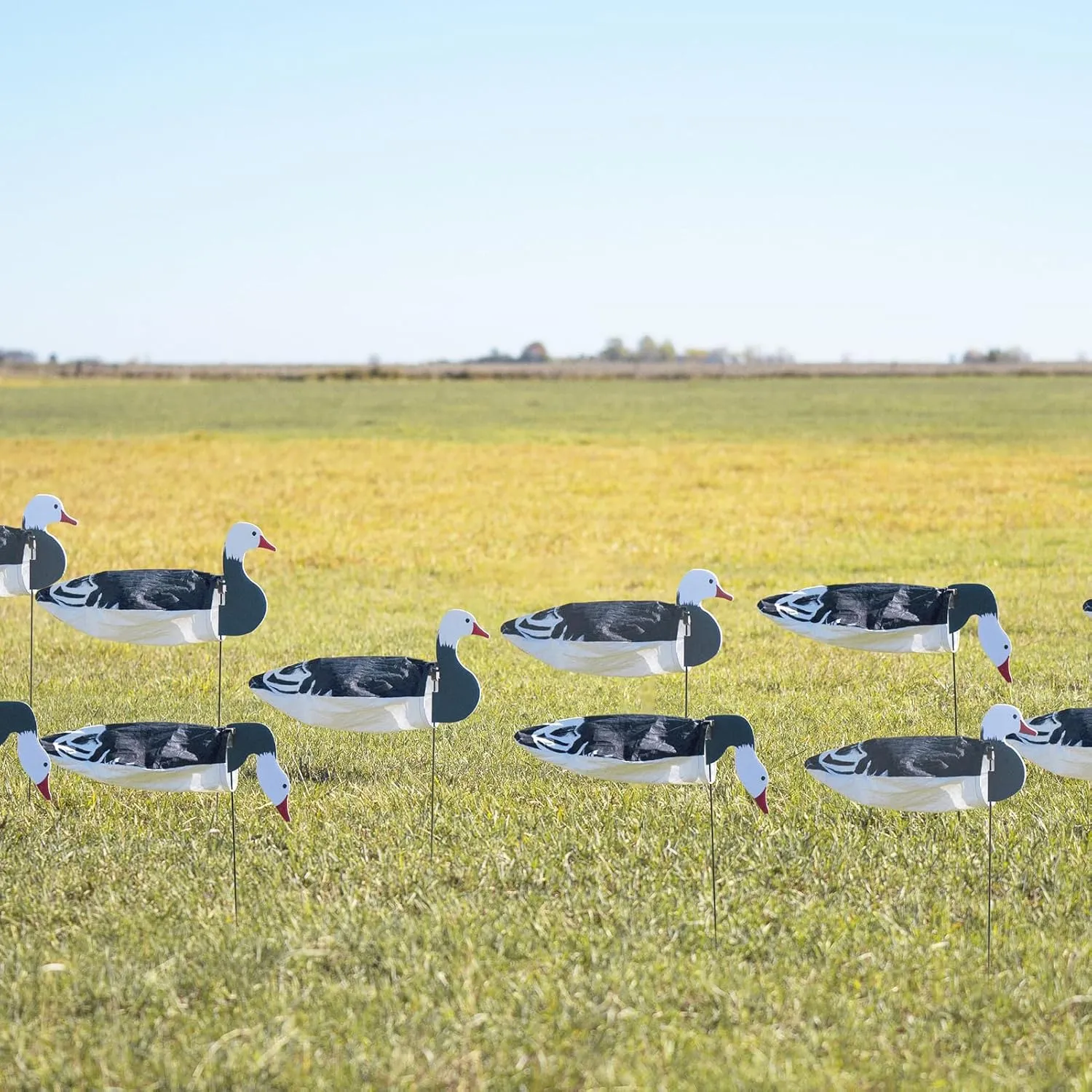 Avery GHG Pro-Grade Blue Goose Sock Decoys, 12-Pack | Durable Realistic Hunting Windsock Decoy Set with Stable Foldable Ground Stakes, Resistant No-Glare Matte Bodies, Quick-Setup Design