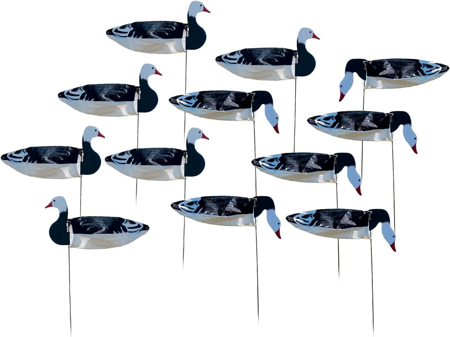 Avery GHG Pro-Grade Blue Goose Sock Decoys, 12-Pack | Durable Realistic Hunting Windsock Decoy Set with Stable Foldable Ground Stakes, Resistant No-Glare Matte Bodies, Quick-Setup Design