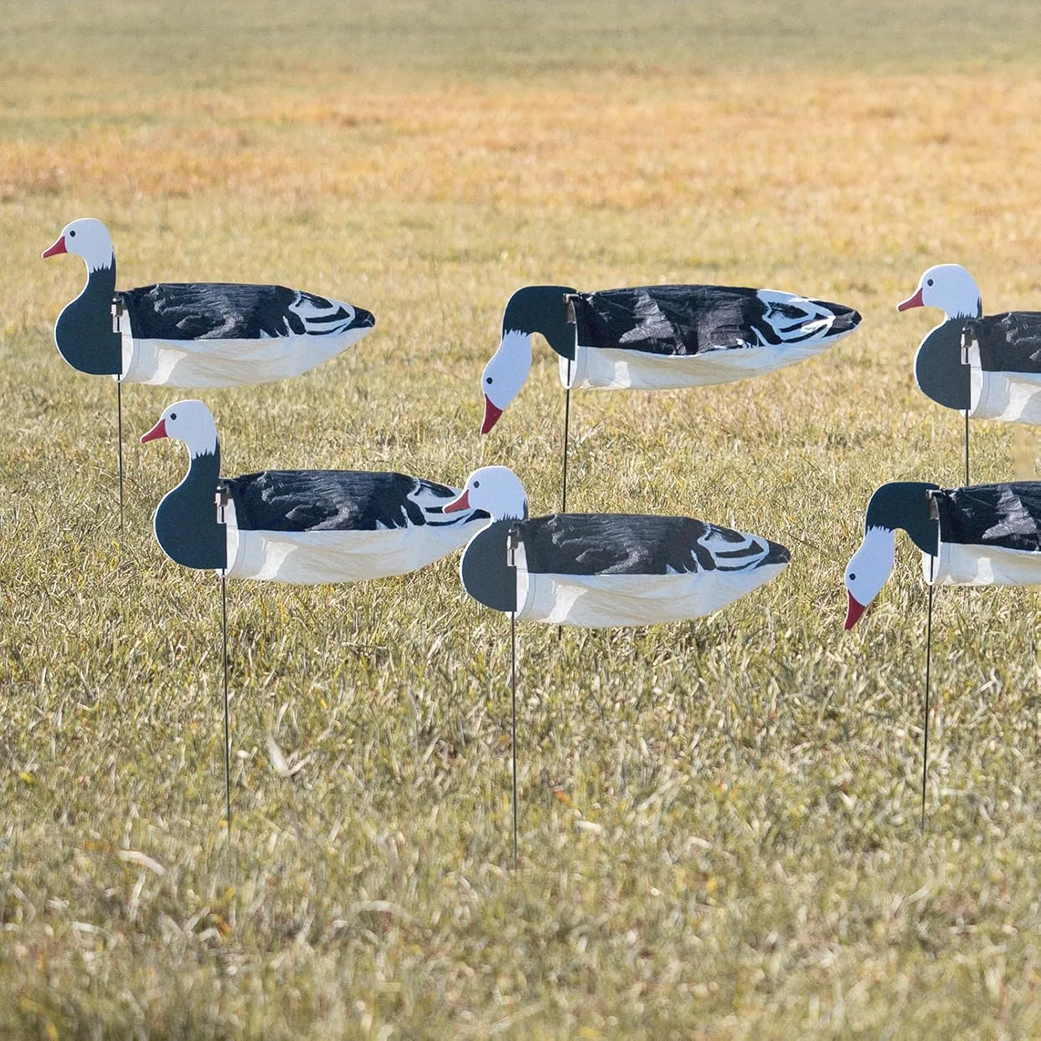 Avery GHG Pro-Grade Blue Goose Sock Decoys, 12-Pack | Durable Realistic Hunting Windsock Decoy Set with Stable Foldable Ground Stakes, Resistant No-Glare Matte Bodies, Quick-Setup Design