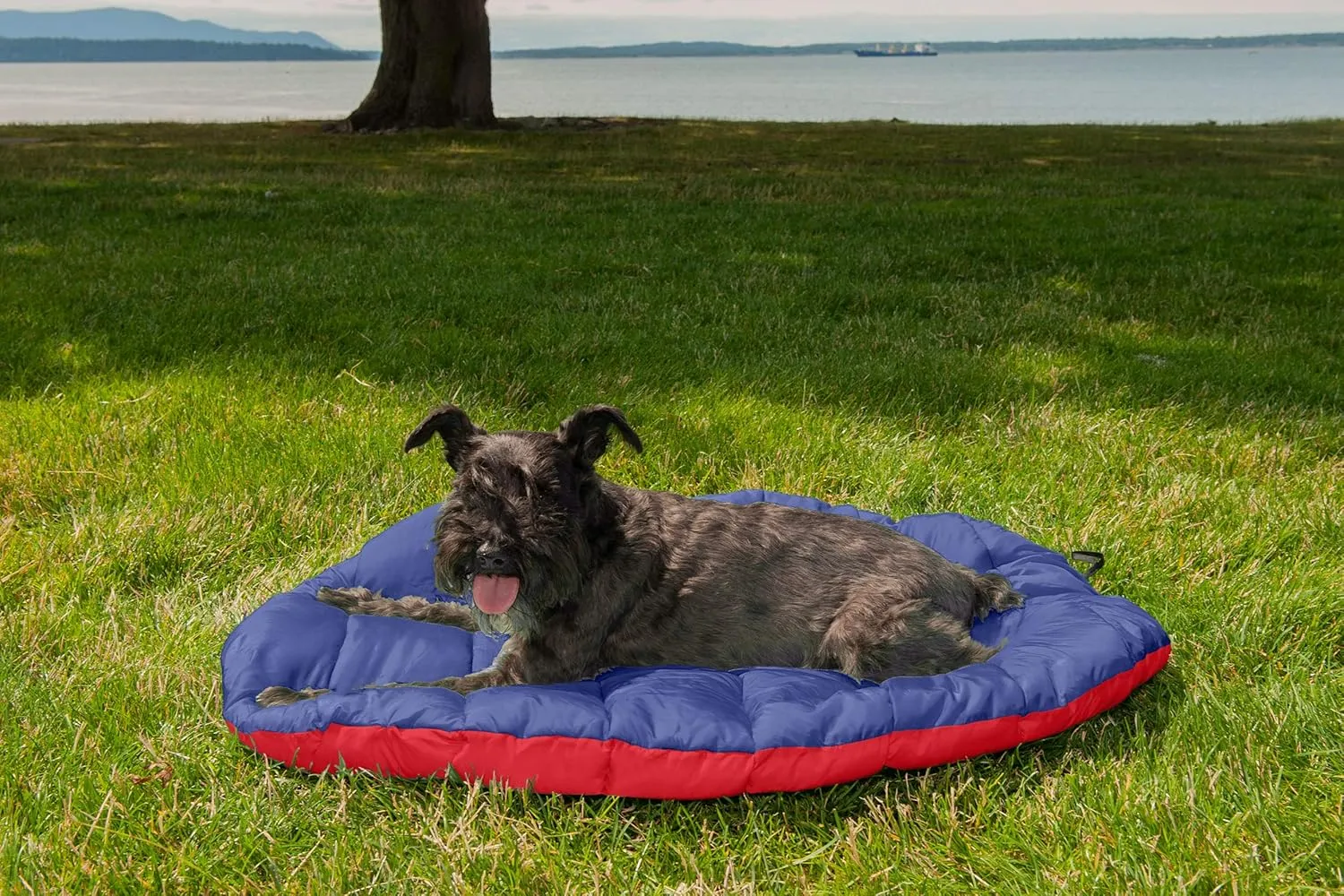 Furhaven Outdoor Travel Dog Bed for Small Dogs w/ Carry Bag, Washable & Foldable, Great for Crates & Kennels - Trail Pup Travel Pillow Mat w/ Stuff Sack Bag - Flame Red/True Blue, Small