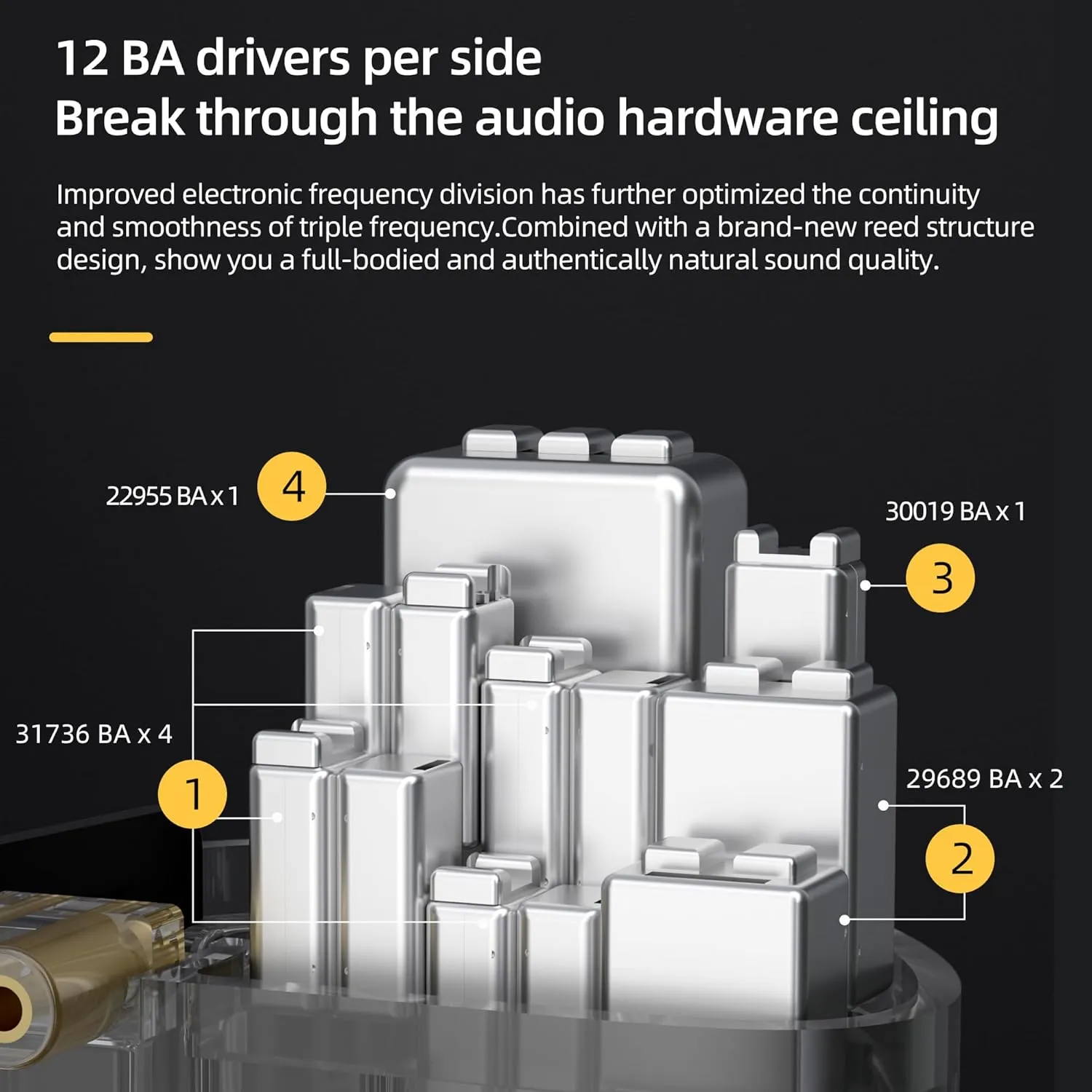 KZ AS24 in-Ear Monitors HiFi Earphone Wired,12BA Hybrid Drivers Tunable IEM Headphones Ergonomic Design Memory Foam with Removable Cable for Audiophile Musician (Black, Tuning Version No Mic)