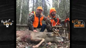 Manitoba Whitetail Deer Hunt