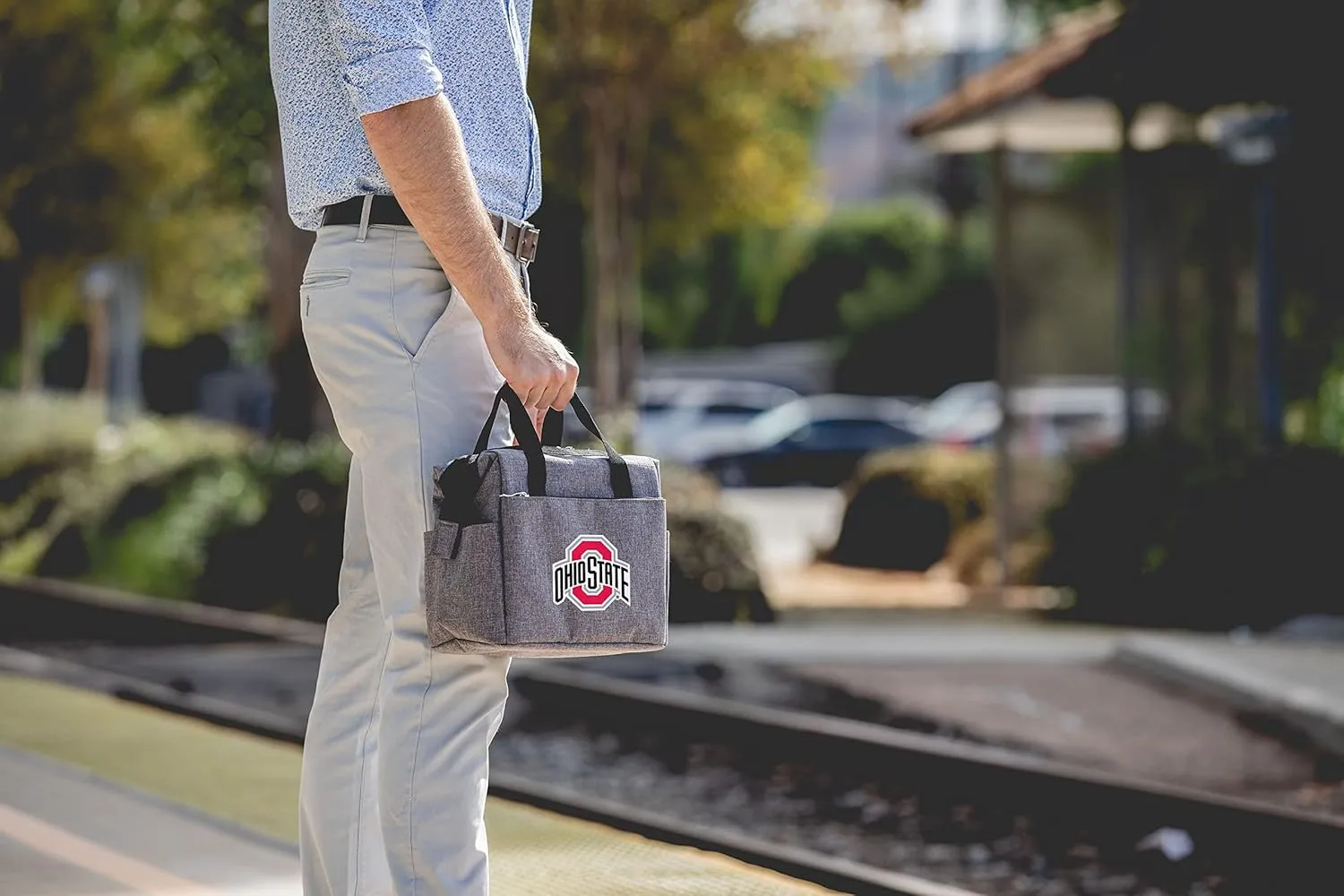 PICNIC TIME NCAA unisex-adult NCAA On The Go Lunch Cooler