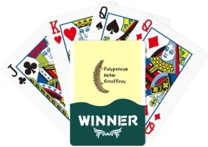 Polyfin Fish Primitive Freshwater Winner Poker Playing Card Classic Game