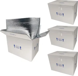 ROTCH Insulated Shipping Boxes with Liners, 4 Pack 15x10x11'', Small Cold Shipping Box Coolers for Perishable Frozen Food, White (T151011-4L-W)