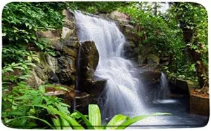 Scenic Waterfall Bath Mat Nature Plant Bathroom Rug Forest Tree Water Lake Landscape Jungle Soft Non-Slip Carpet Bedroom Kitchen Floor Door Mats 17x30 inch