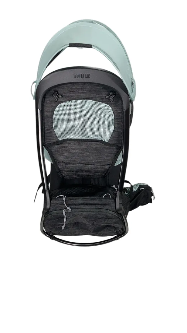 Thule Sapling Child Carrier, Alaska Blue