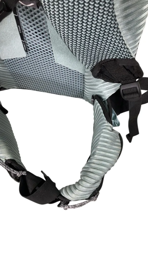 Thule Sapling Child Carrier, Black