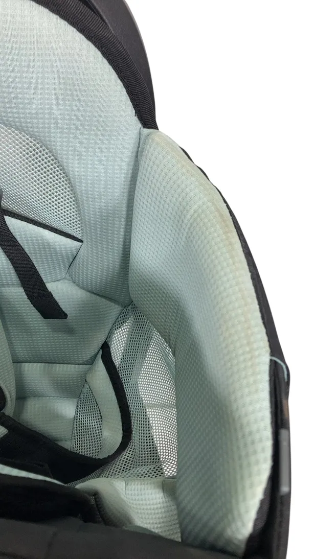 Thule Sapling Child Carrier, Black