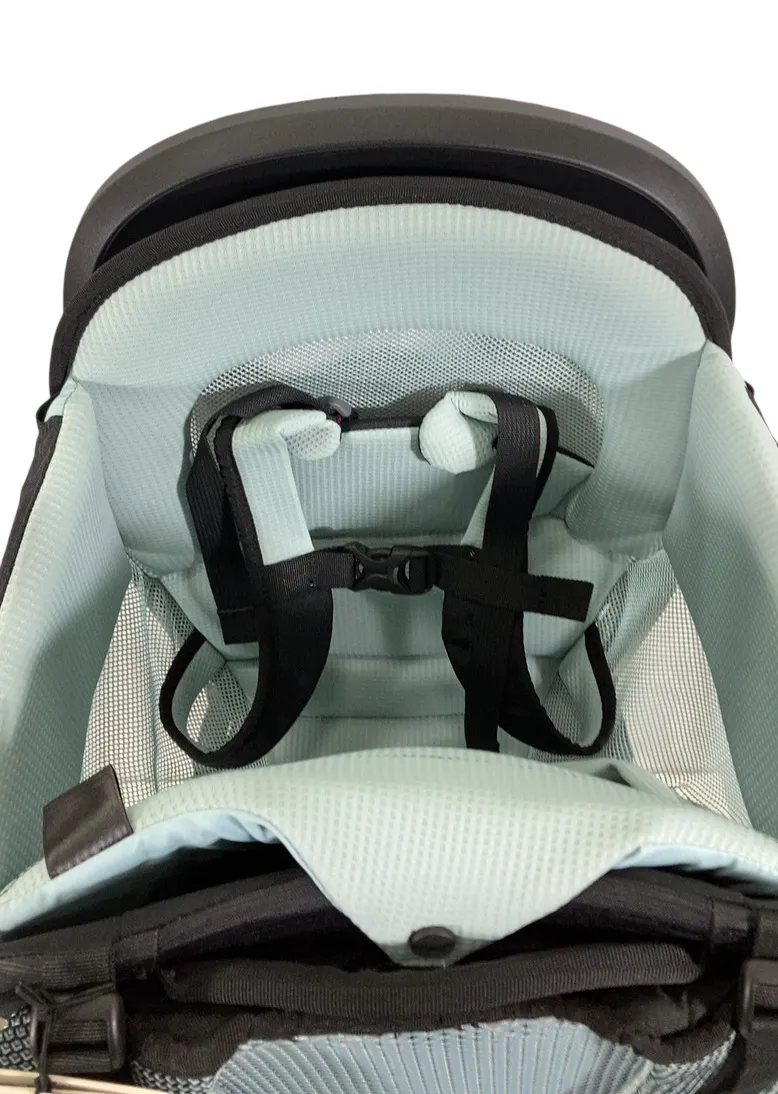 Thule Sapling Child Carrier, Black