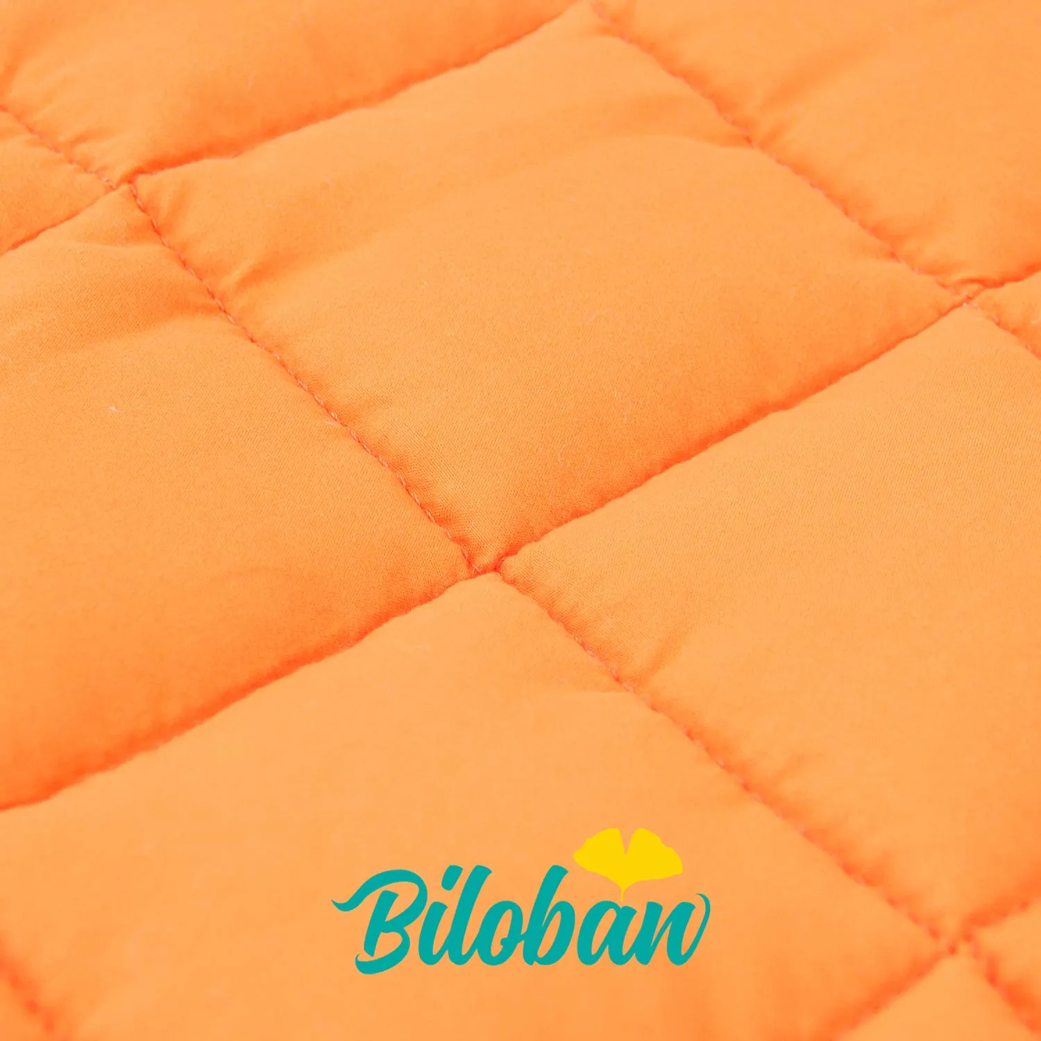 Toddler Nap Mat with Pillow and Blanket, Cot Nap Mats for Standard Daycare Preschool, Roll up Lightweight Portable Sleeping Bag for Kids, Super Soft Cozy, Pink Cloud, 52" x 23"