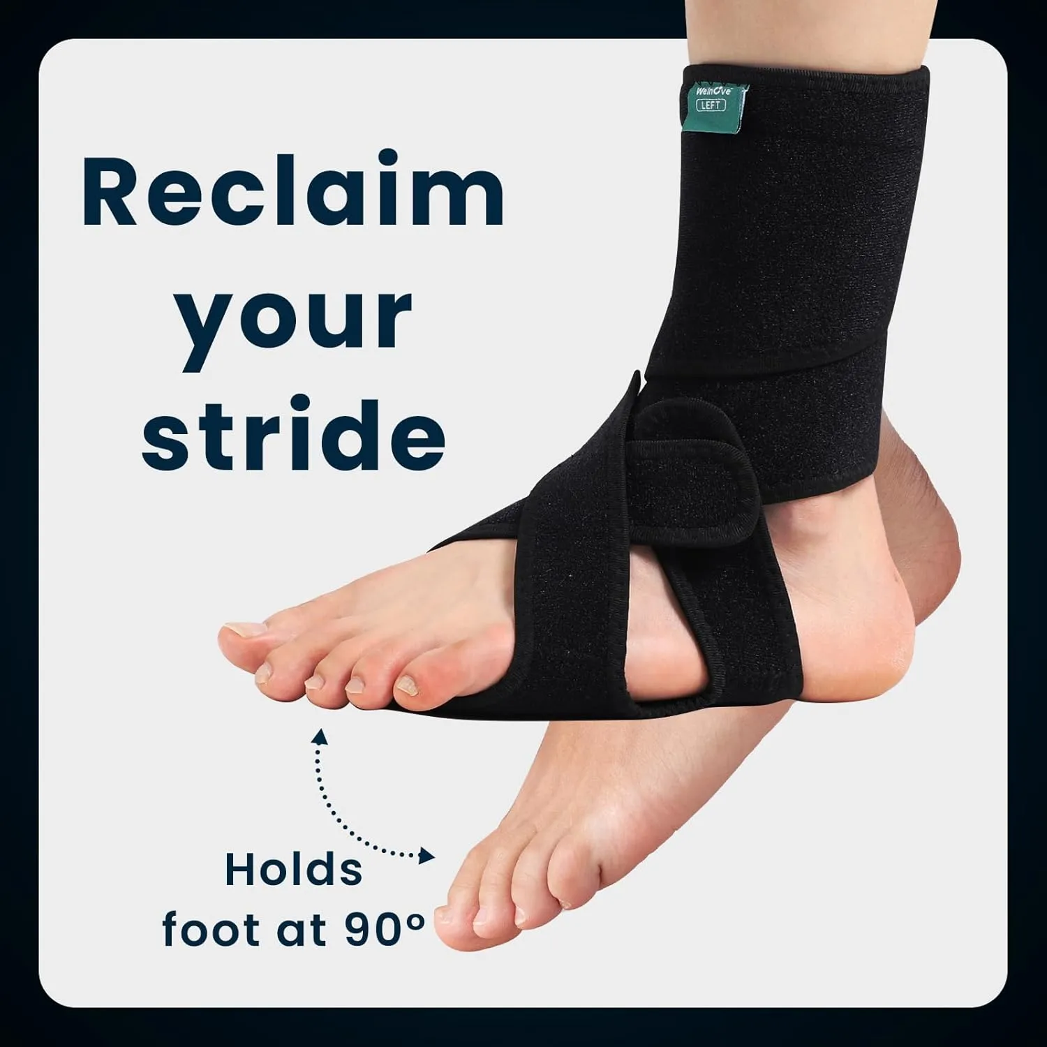 Welnove 2 Pack Drop Foot Brace with Arch Support，AFO Ankle Brace for Walking ，Relieve The Instability of Lower Limbs by Foot Drop, MS, Spinal Cord Injury (Include Left and Right, FSA HSA Eligible)